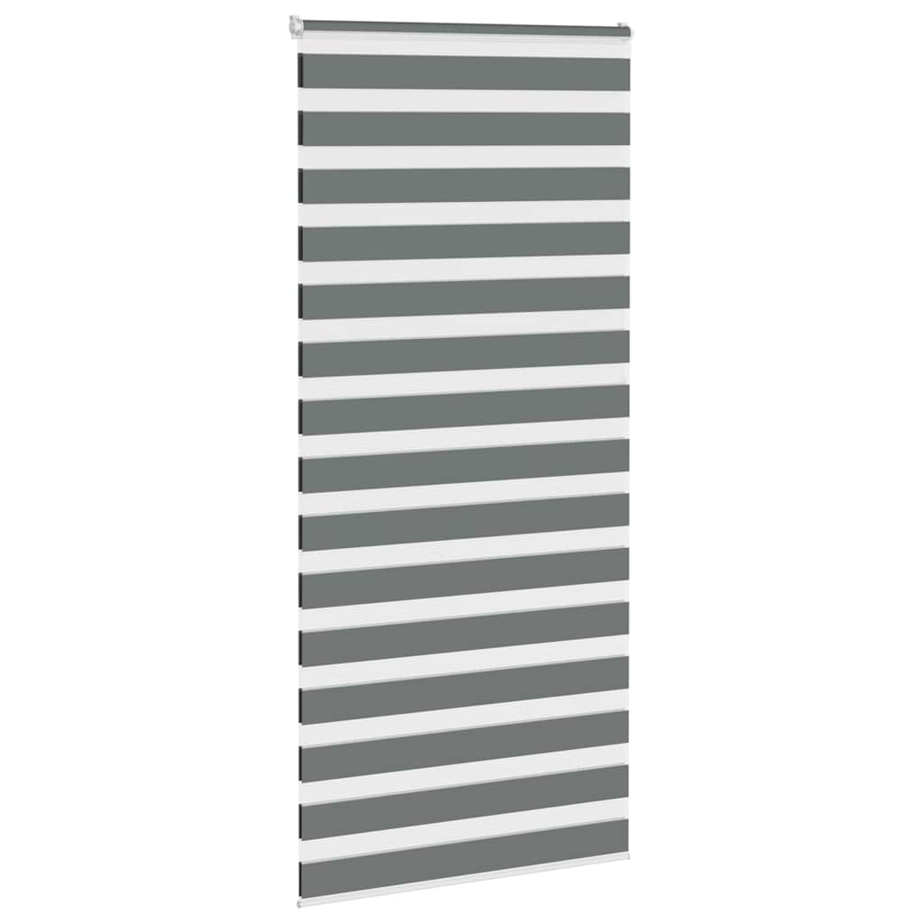 Vidaxl Zebra Roller Blind 95x230 CM Fabric Width 90.9 cm de gris oscuro