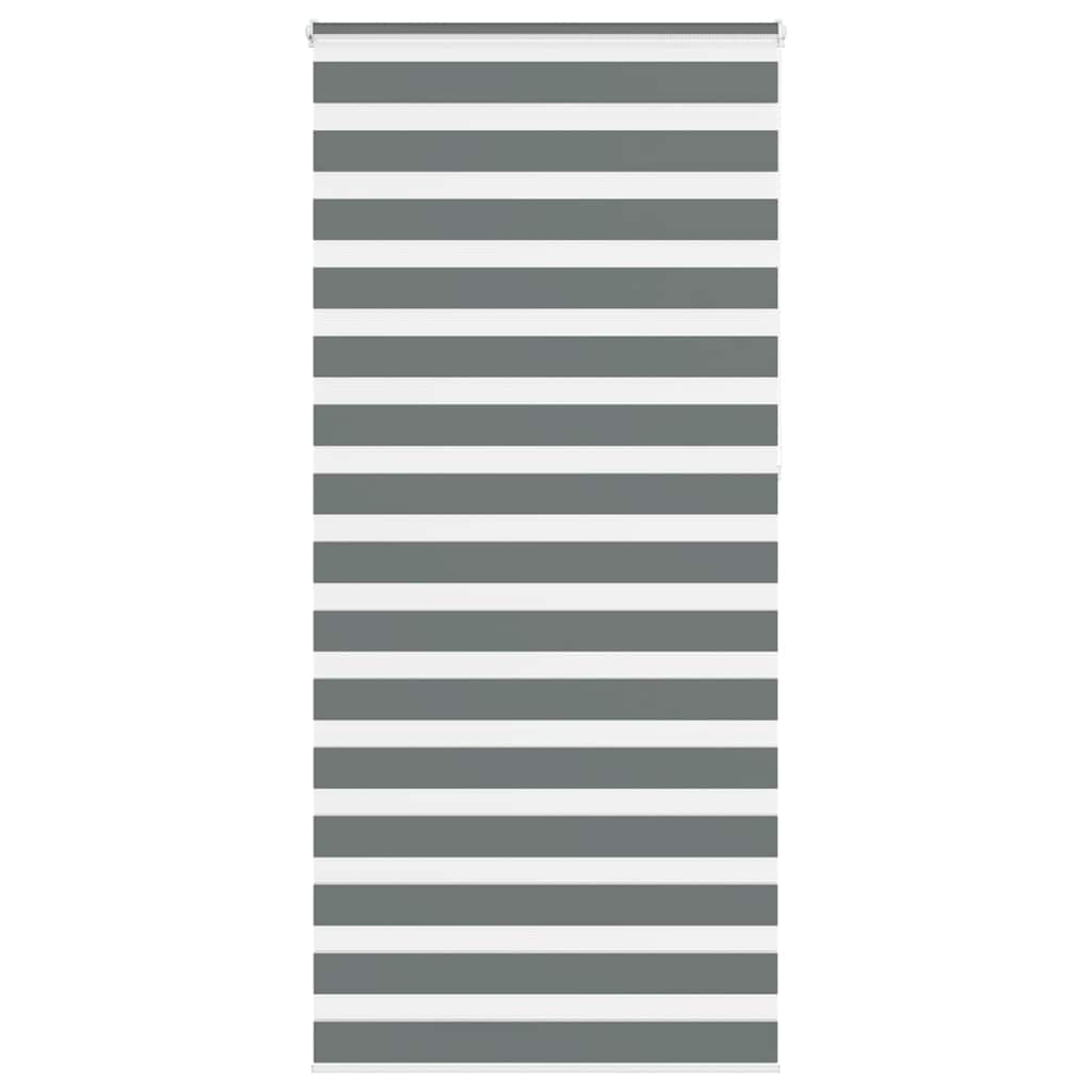 Vidaxx estor enrollable cebra 105x230 cm ancho de tela 100,9 cm gris oscuro