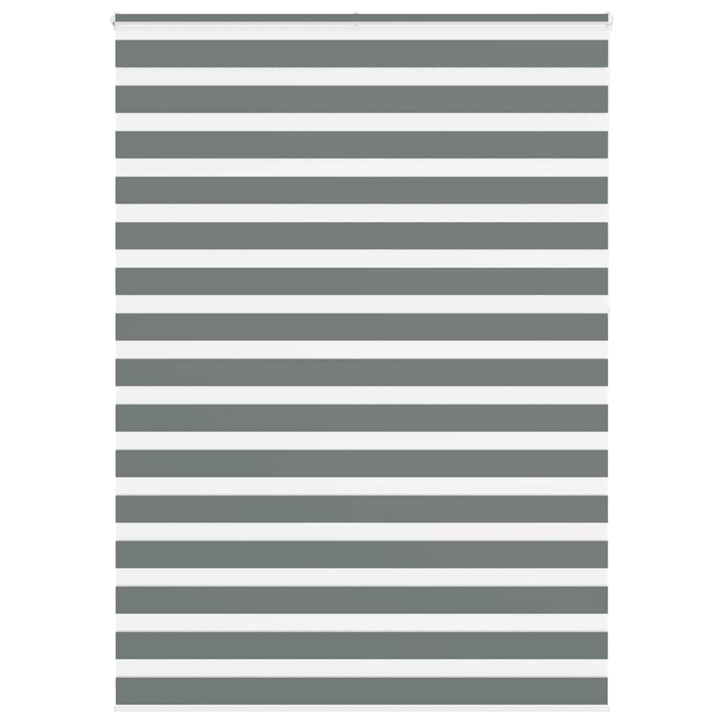Vidaxl Zebra Roller Blind 165x230 cm de tela Ancho 160.9 cm de color gris oscuro