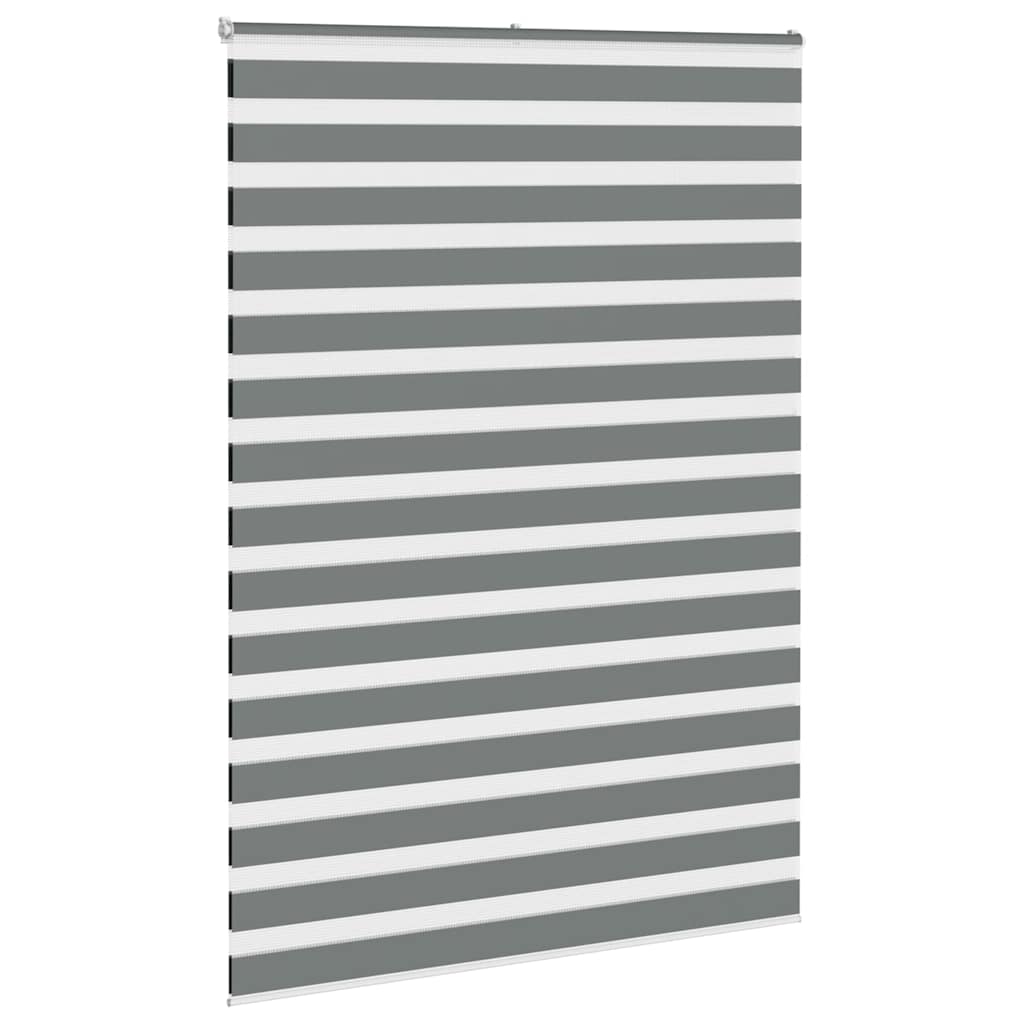 Vidaxl Zebra Roller Blind 165x230 cm de tela Ancho 160.9 cm de color gris oscuro