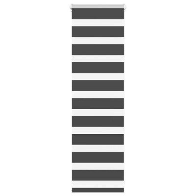Vidaxl Zebra Roller Blind 45x100 cm Larghezza polvere 40,9 cm Nero