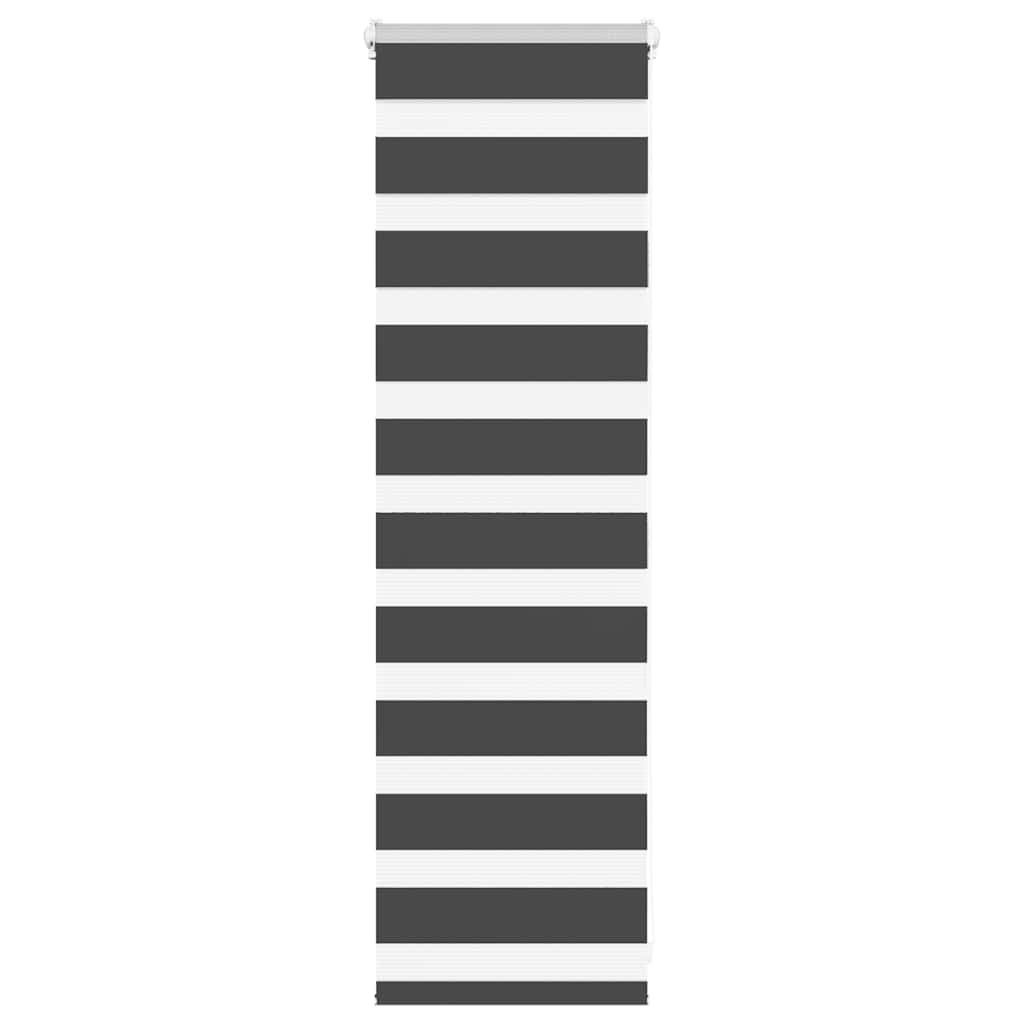 Vidaxl zebra rullo cieco 55x100 cm Larghezza polvere 50,9 cm nero