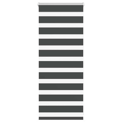 Vidaxl zebra rullo cieco 60x100 cm larghezza di polvere nera 55,9 cm