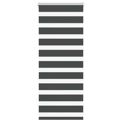Vidaxl Zebra Roller Blind 65x100 cm Larghezza tessuto 60,9 cm nero