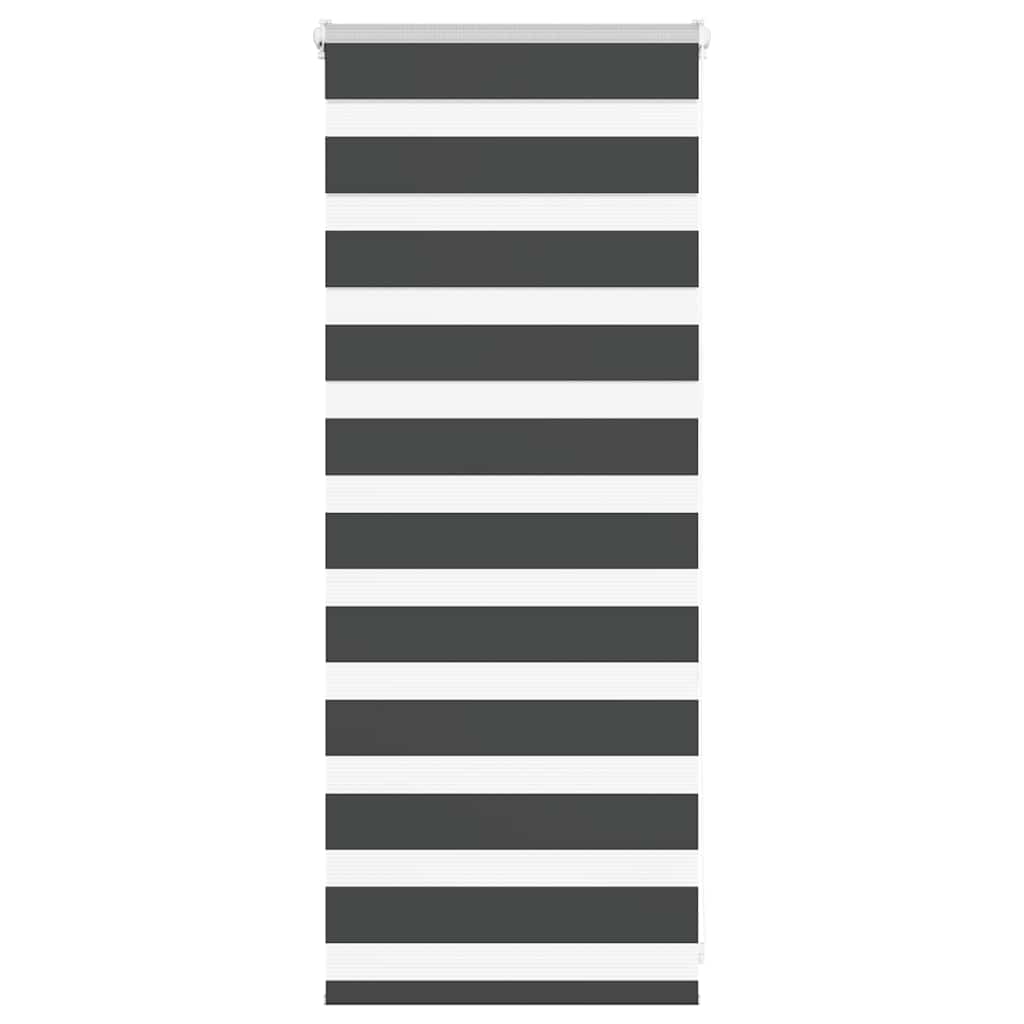 Vidaxl Zebra Roller Blind 65x100 cm Larghezza tessuto 60,9 cm nero