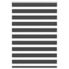 Vidaxl zebra rullo cieco 95x100 cm Larghezza tessuto 90,9 cm nero