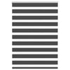 Vidaxl Zebra Roller Blind 100x100 cm Larghezza polvere 95,9 cm Nero