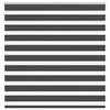 Vidaxl zebra rullo cieco 140x100 cm Larghezza tessuto 135,9 cm nero
