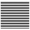 Vidaxl zebra rullo cieco 155x100 cm Larghezza tessuto 150,9 cm nero
