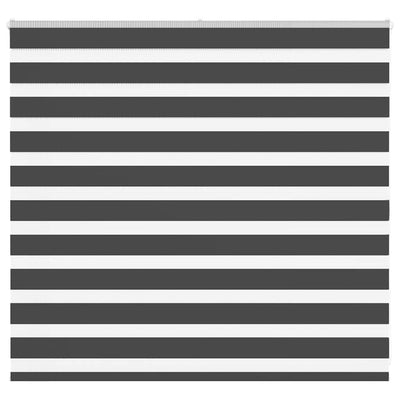 Vidaxl zebra rullo cieco 155x100 cm Larghezza tessuto 150,9 cm nero