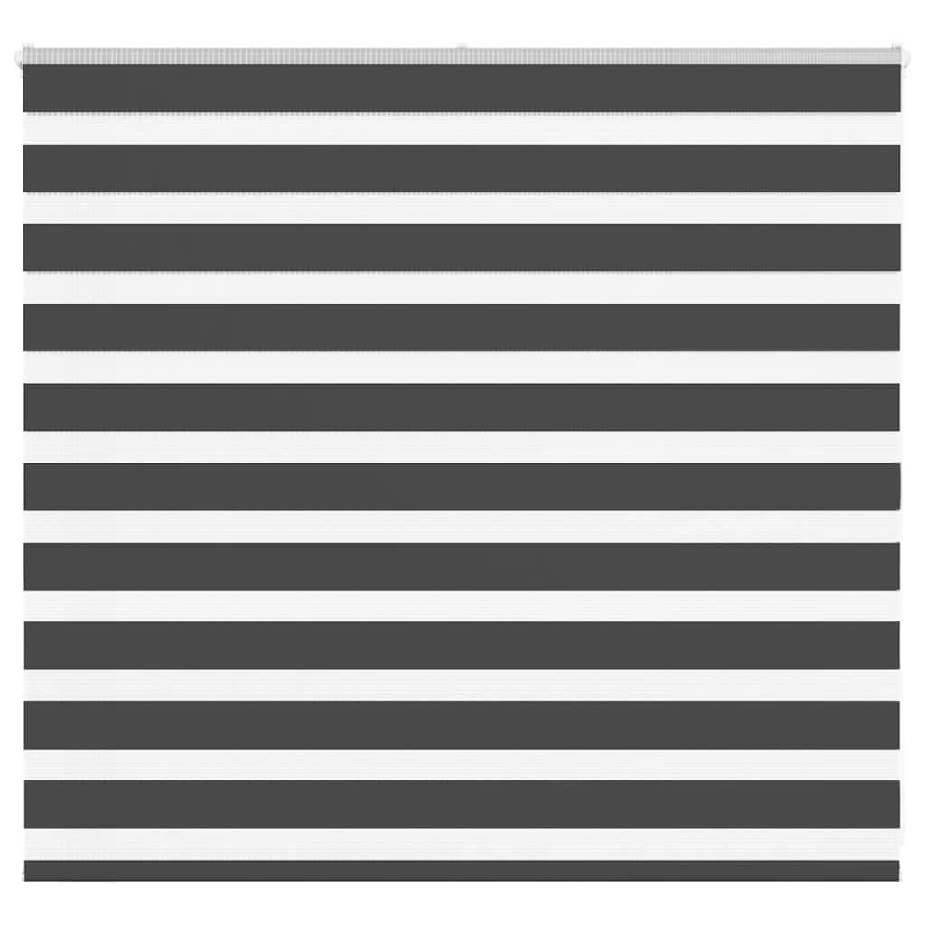 Vidaxl Zebra Roller Blind 165x100 cm Larghezza polvere 160,9 cm Nero