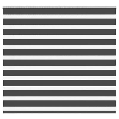 Vidaxl Zebra Roller Blind 165x100 cm Larghezza polvere 160,9 cm Nero