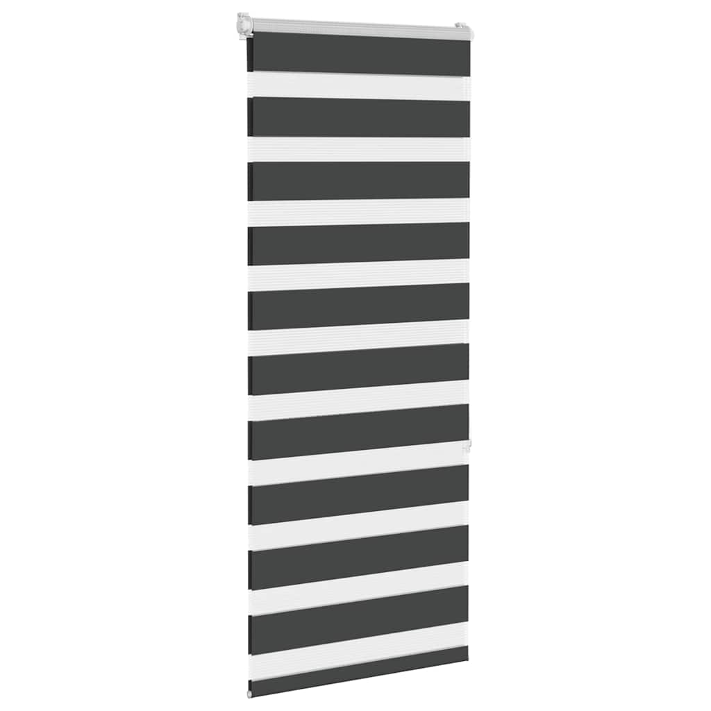 Vidaxl zebra rullo cieco 55x150 cm Larghezza polvere 50,9 cm nero