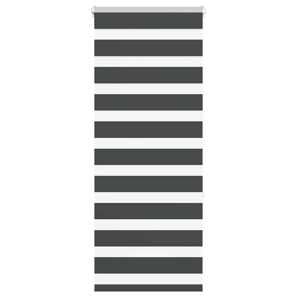 Vidaxl Zebra Roller Blind 60x150 cm de polvo ancho negro 55.9 cm