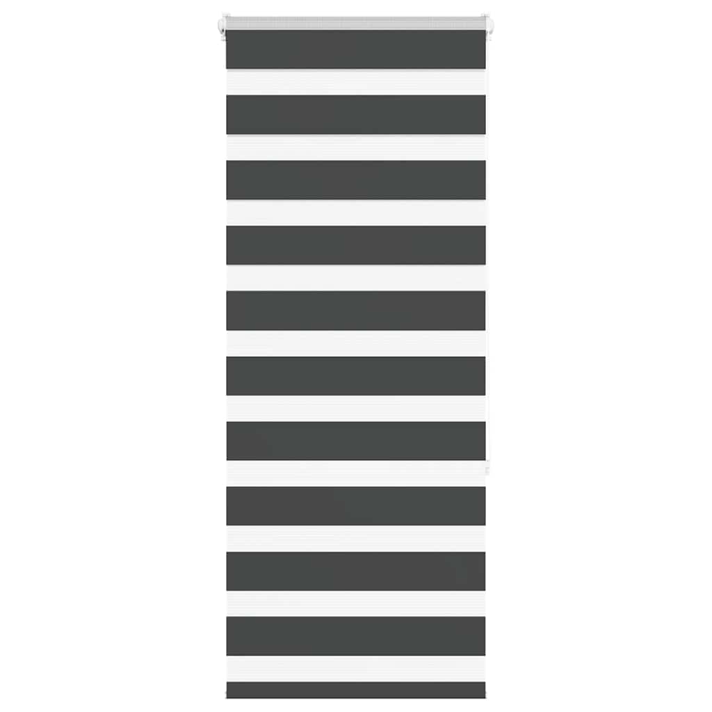 Vidaxl Zebra Roller Blind 65x150 cm Larghezza polvere 60,9 cm Nero