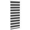 Vidaxl Zebra Roller Blind 65x150 cm de polvo ancho de 60,9 cm negro