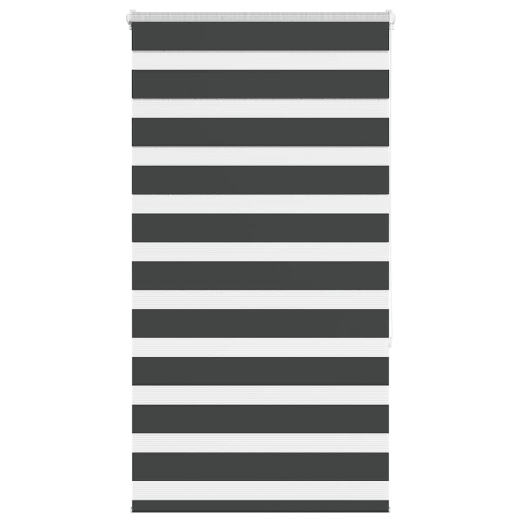 Vidaxl zebra rullo cieco 75x150 cm Larghezza tessuto 70,9 cm nero