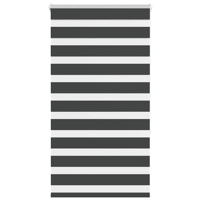 Vidaxl zebra rullo cieco 75x150 cm Larghezza tessuto 70,9 cm nero