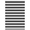 Vidaxl zebra rullo cieco 115x150 cm Larghezza tessuto 110,9 cm nero