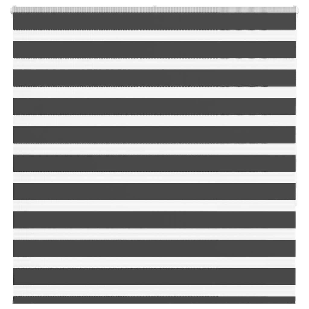 Vidaxl Zebra Roller Blind 150x150 cm Larghezza polvere 145,9 cm Nero