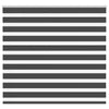 Vidaxl Zebra Roller Blind 165x150 cm Ancho de polvo 160.9 cm Negro