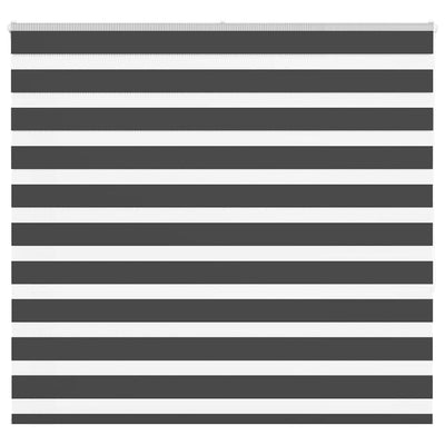 Vidaxl Zebra Roller Blind 165x150 cm Larghezza polvere 160,9 cm Nero
