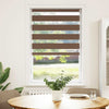 Vidaxl Zebra Roller Blind 70x100 cm ancho de polvo de 65.9 cm de poliéster marrón