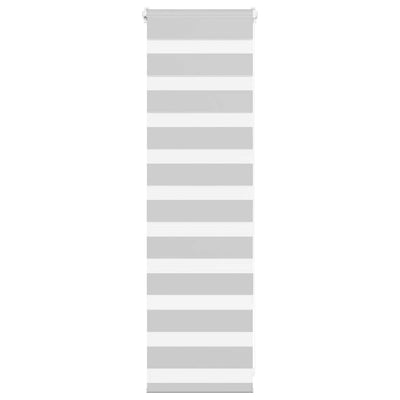 Vidaxl zebra rullo cieco 50x100 cm larghezza del tessuto 45,9 cm grigio chiaro
