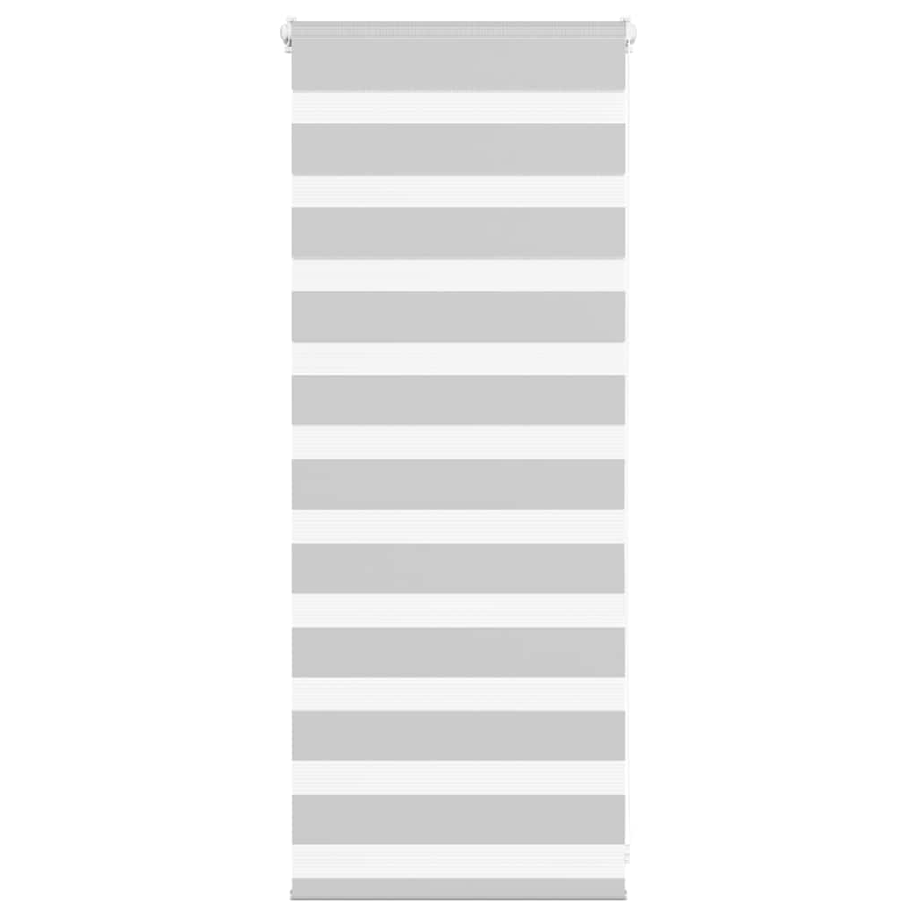 Vidaxl Zebra Roller Blind 55x100 CM Fabric Ancho de 50,9 cm de gris claro