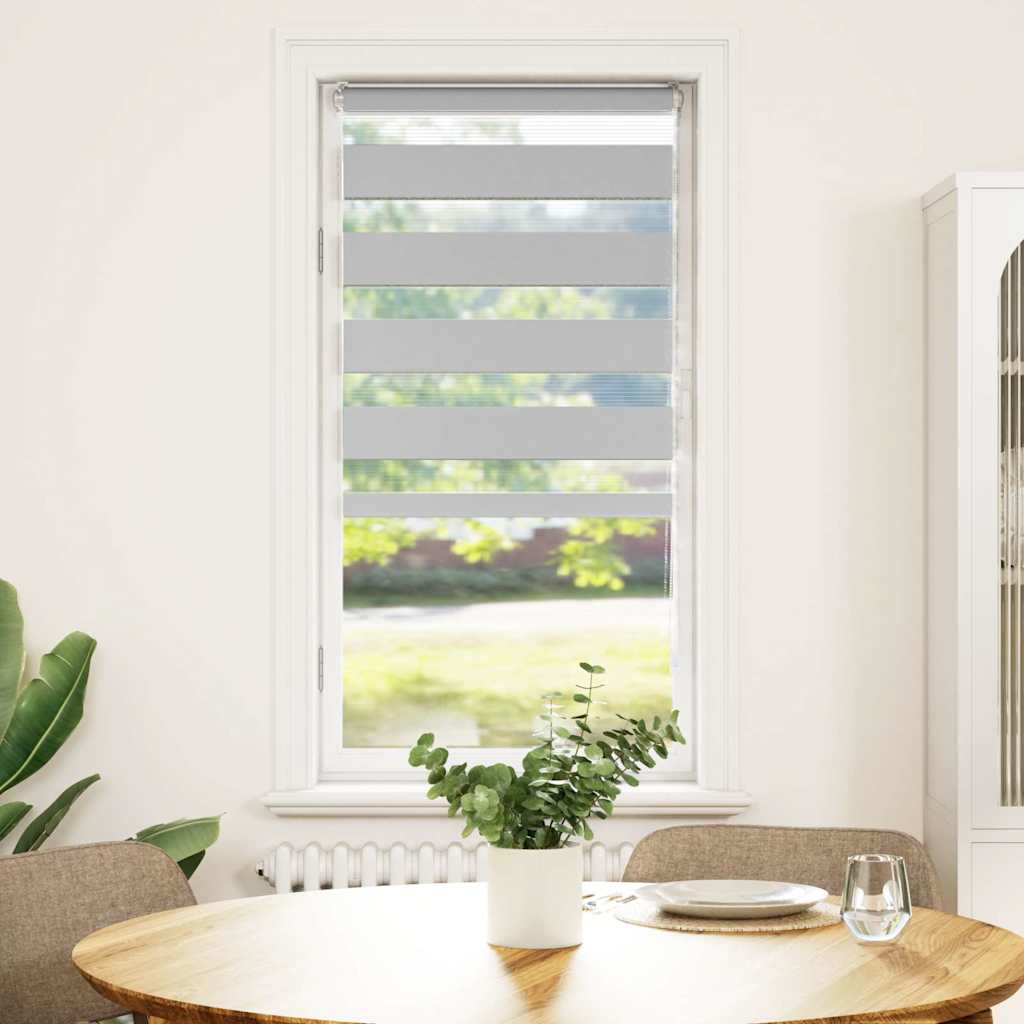 Vidaxl Zebra Roller Blind 55x100 CM Fabric Ancho de 50,9 cm de gris claro