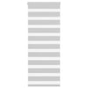 Vidaxl Zebra Roller Blind 60x100 cm Ancho de polvo de 55,9 cm de gris claro