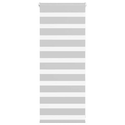 Vidaxl zebra rullo cieco 60x100 cm Larghezza polvere 55,9 cm grigio chiaro