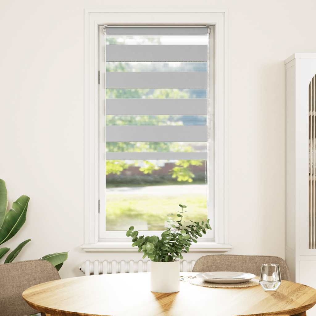 Vidaxl Zebra Roller Blind 65x100 CM Fabric Ancho de 60,9 cm de gris claro