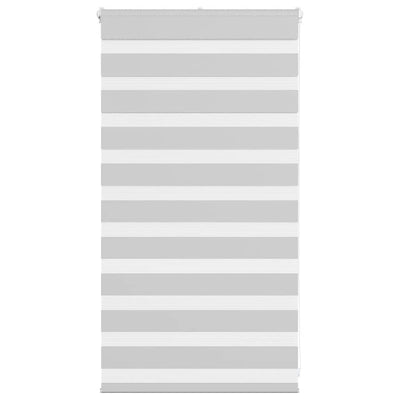 Vidaxl zebra rullo cieco 70x100 cm Larghezza polvere 65,9 cm grigio chiaro