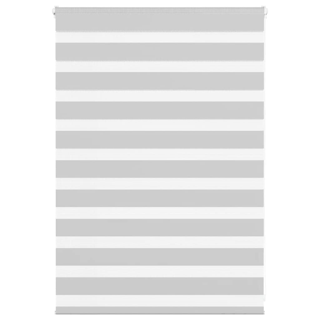 Vidaxl Zebra Roller Blind 95x100 CM Fabric Ancho 90.9 cm de gris claro