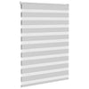 Vidaxl Zebra Roller Blind 95x100 CM Fabric Ancho 90.9 cm de gris claro