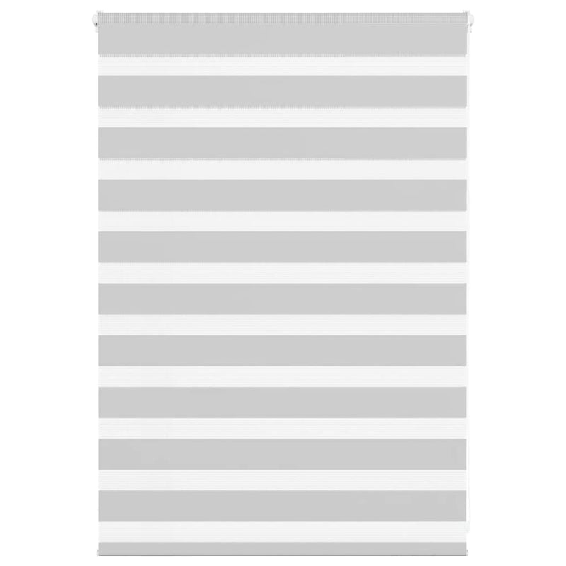 Vidaxl zebra rullo cieco 105x100 cm Larghezza tessuto 100,9 cm grigio chiaro