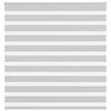 Vidaxl Zebra Roller Blind 150x100 cm ancho de polvo 145.9 cm de gris claro