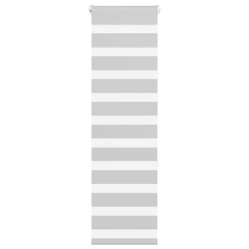 Vidaxl Zebra Roller Blind 50x150 CM Fabric Width 45.9 cm de gris claro