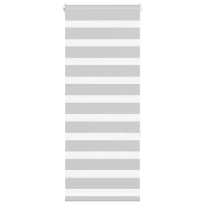 Vidaxl zebra rullo cieco 60x150 cm Larghezza polvere 55,9 cm grigio chiaro