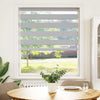 Vidaxl Zebra Roller Blind 95x150 CM Fabric Ancho 90.9 cm de gris claro