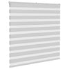 Vidaxl Zebra Roller Blind 150x150 cm ancho de polvo 145.9 cm de gris claro