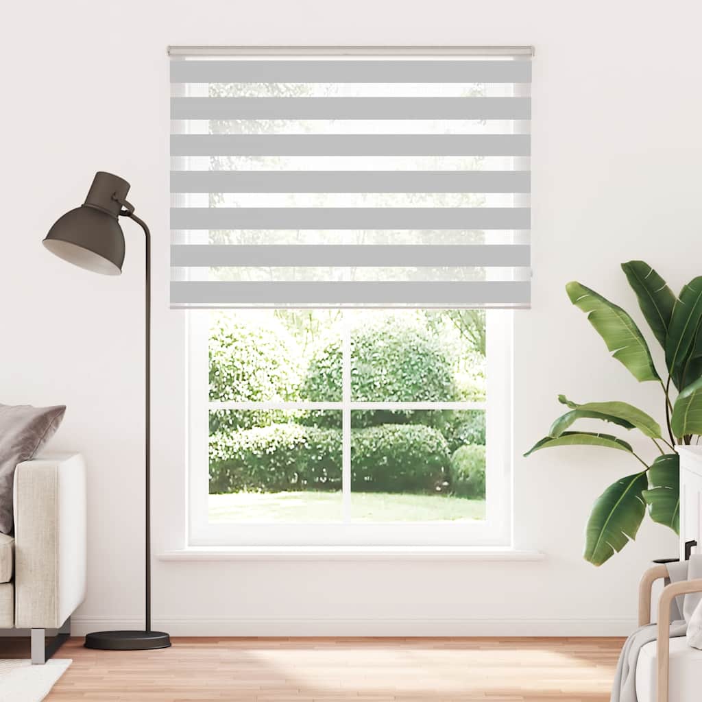 Vidaxl Zebra Roller Blind 165x230 CM Fabric Ancho 160.9 cm de gris claro