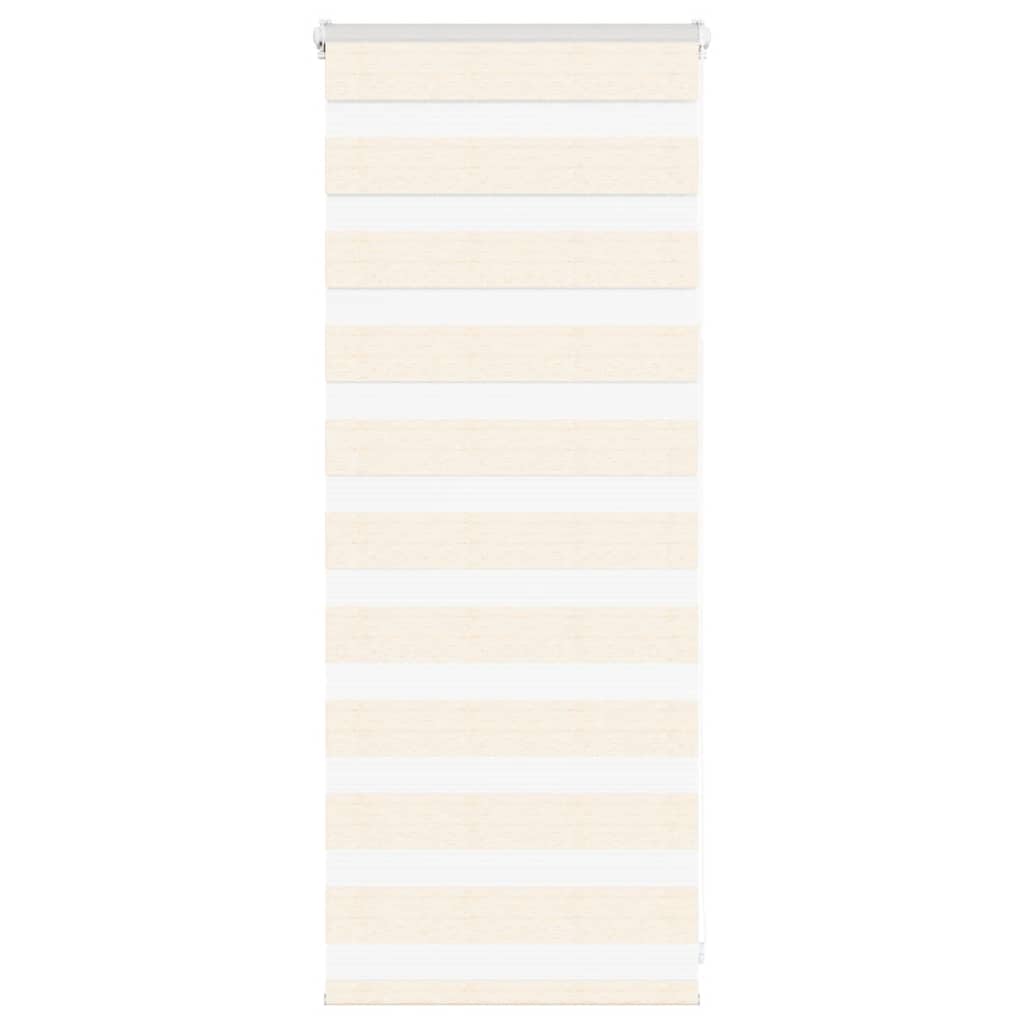 Vidaxl Zebra Roller Blind 55x100 cm Larghezza polvere 50,9 cm Marmerbeige