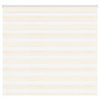 Vidaxl Zebra Roller Blind 160x100 cm Ancho de polvo de 155.9 cm Marmerbeige
