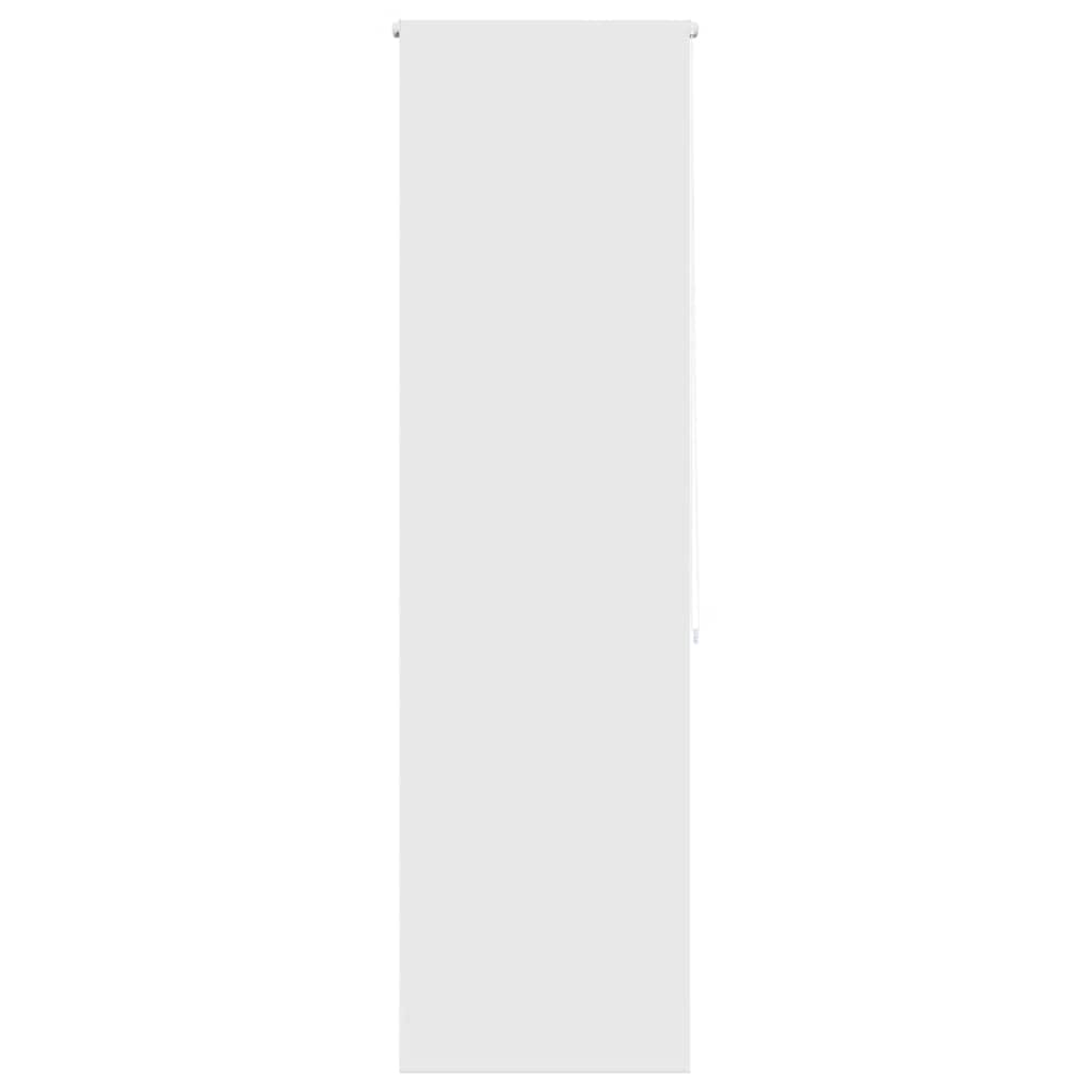 Vidaxl Roller de ducha ciego 60x240 cm ancho de polvo 56 cm