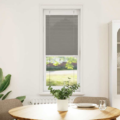 Vidaxl Roller Blind Blind 50x100 cm Larghezza polvere 49,4 cm Antracite