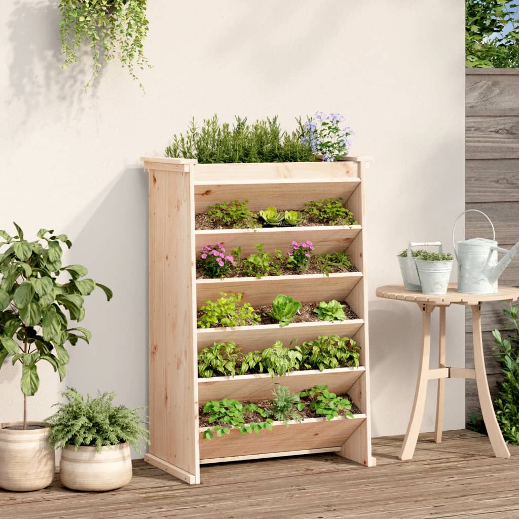 Vidaxl Herb Box 6 La capa 69x40x101.5 cm de pino sólido