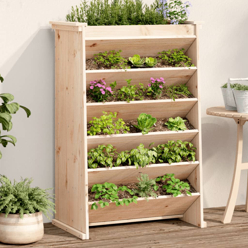 Vidaxl Herb Box 6 La capa 69x40x101.5 cm de pino sólido
