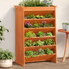 Vidaxl Herb Box 6 La capa 69x40x101.5 cm de pino sólido marrón